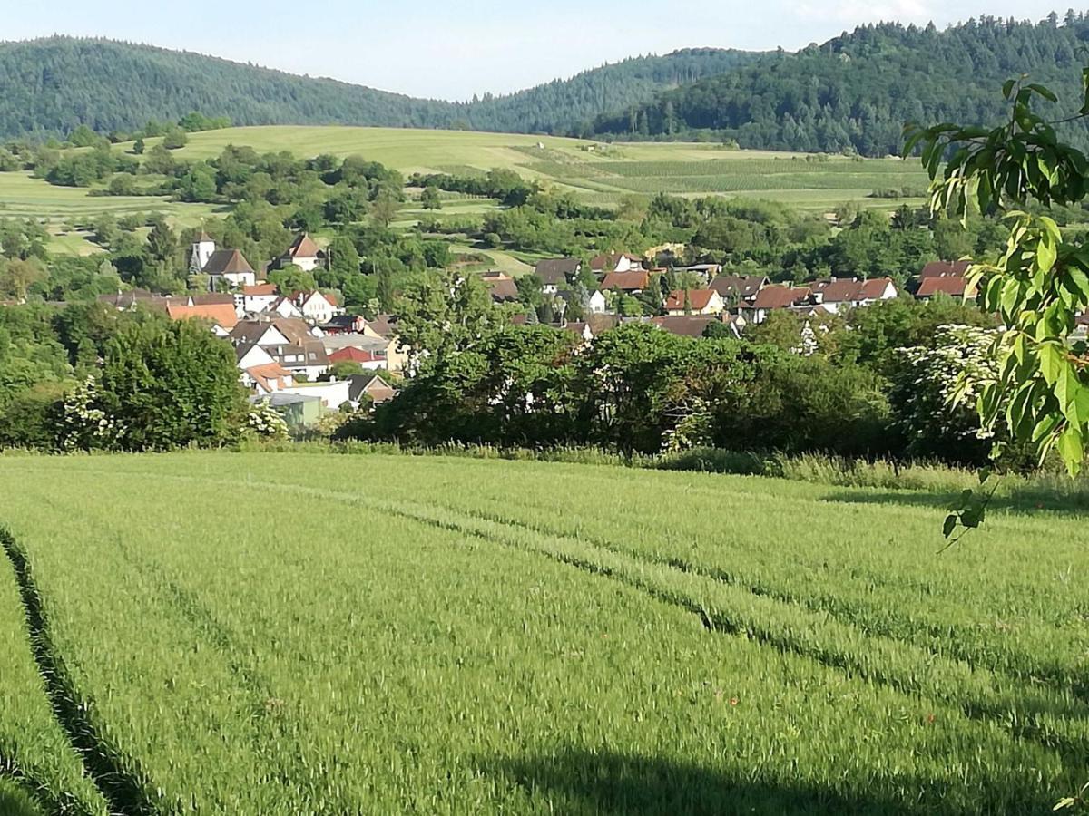 Galerie Ueber Den Gaerten 黑尔博尔茨海姆 外观 照片