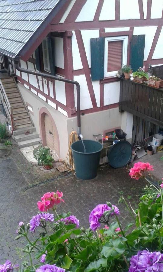 Galerie Ueber Den Gaerten 黑尔博尔茨海姆 外观 照片