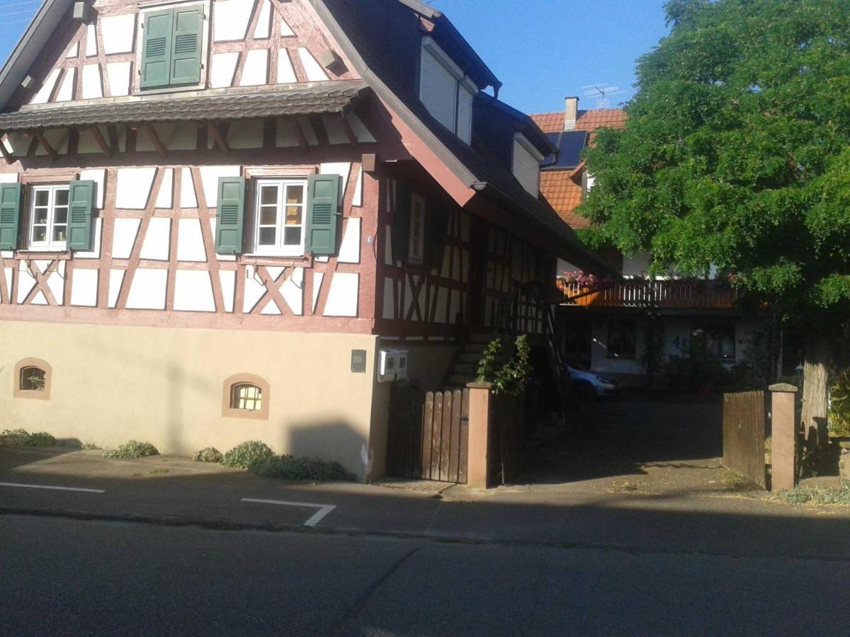 Galerie Ueber Den Gaerten 黑尔博尔茨海姆 外观 照片